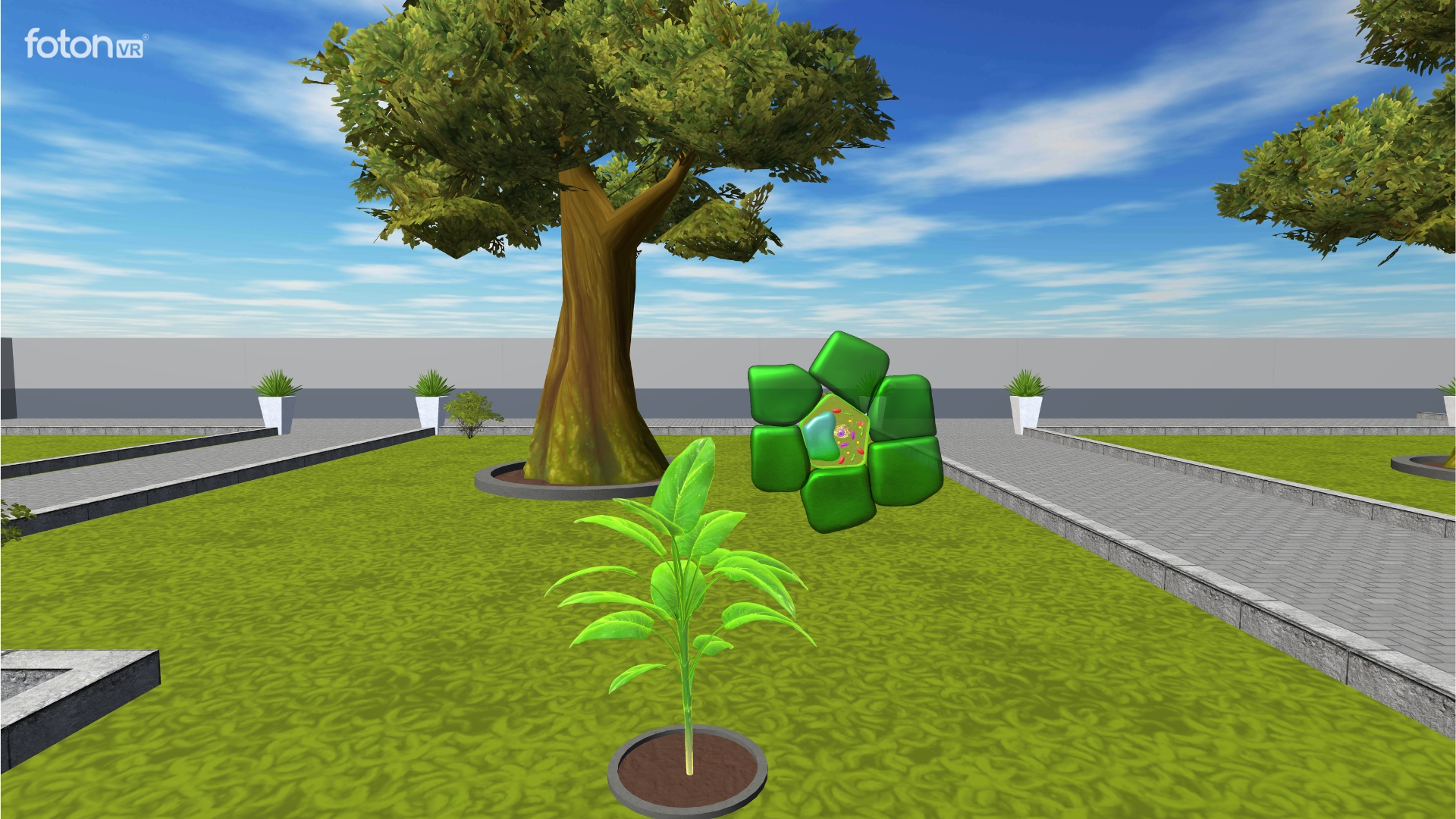 Photosynthesis 3D scene in VR